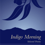 INDIGO MORNING by Rachael Munro